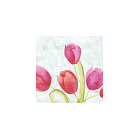 Duni Servett Tulips 3-lags 33X33cm 50/fp