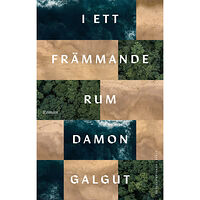 Damon Galgut I ett främmande rum (inbunden)