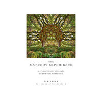 Tim Freke The Mystery Experience (häftad, eng)
