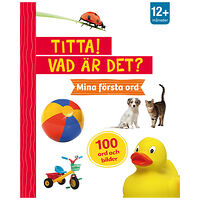 Tukan Förlag Titta! Vad är det? Mina första ord (bok, board book)