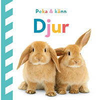 Dawn Sirett Peka och känn. Djur (bok, board book)