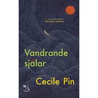 Cecile Pin Vandrande själar (pocket)