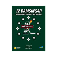Magnus Hagström 12 Bamsingar : Hammarby Hockey i med- och motgångar (inbunden)