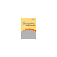 Ylva Svensson Mattegruvan 1-3 Silvergruvan Lärarhandl (bok, spiral)