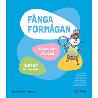 Mirja Johannesson Fånga förmågan, Läsa och förstå, texter (häftad)