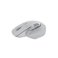 RAPOO Mouse MT760L Wireless Multi-Mode Grey Black