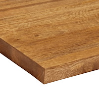 vidaXL Bordsskiva 100x50x3,8 cm rektangulär massivt mango-trä