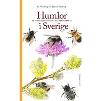 Bo Mossberg Humlor i Sverige : 40 arter att älska och förundras över (bok, flexband)