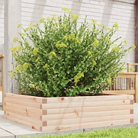 vidaXL Odlingslåda 80x80x23 cm massiv furu