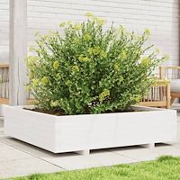 vidaXL Odlingslåda vit 100x100x26,5 cm massiv furu