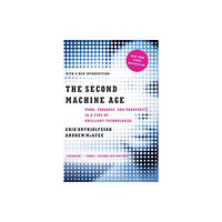 WW Norton & Co The Second Machine Age (häftad, eng)