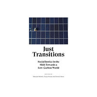 Pluto Press Just Transitions (häftad, eng)