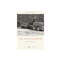Bloomsbury Publishing PLC The Slate Industry (häftad, eng)