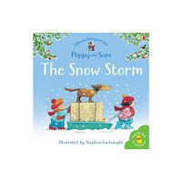 Usborne Publishing Ltd The Snow Storm (häftad, eng)