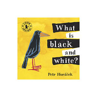 Walker Books Ltd What Is Black and White? (bok, board book, eng)