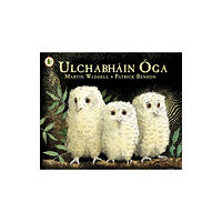 Walker Books Ltd Ulchabhain Oga (Owl Babies) (häftad, gle)