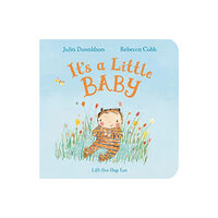 Pan Macmillan It's a Little Baby (bok, board book, eng)
