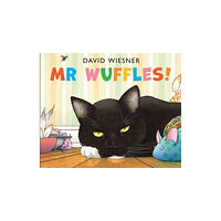 Andersen Press Ltd Mr Wuffles! (häftad, eng)