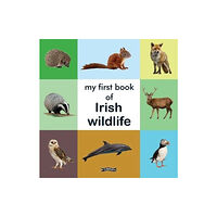 O'Brien Press Ltd My First Book of Irish Wildlife (bok, board book, eng)