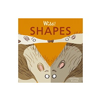 Child's Play International Ltd Shapes (bok, board book, eng)