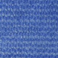 vidaXL Solsegel 160 g/m² fyrkantig blå 5x5 m HDPE