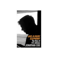 Pan Macmillan Like a Fiery Elephant (häftad, eng)