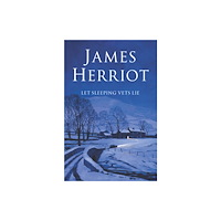 Pan Macmillan Let Sleeping Vets Lie (häftad, eng)
