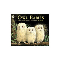 Walker Books Ltd Owl Babies (häftad, eng)