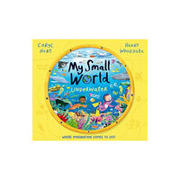 Simon & Schuster Ltd My Small World: Underwater (häftad, eng)