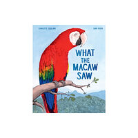 Hachette Children's Group What the Macaw Saw (inbunden, eng)