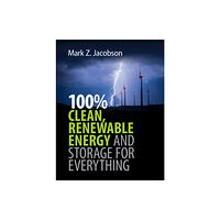 Cambridge University Press 100% Clean, Renewable Energy and Storage for Everything (häftad, eng)