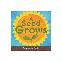 Scallywag Press A seed grows (inbunden, eng)