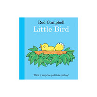 Pan Macmillan Little Bird (bok, board book, eng)