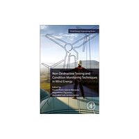 Elsevier Science & Technology Non-Destructive Testing and Condition Monitoring Techniques in Wind Energy (häftad, eng)