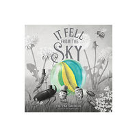 Quarto Publishing Plc It Fell From The Sky (inbunden, eng)