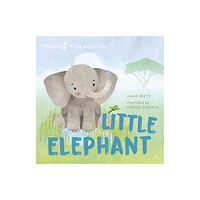 Quarto Publishing Plc Little Elephant (inbunden, eng)