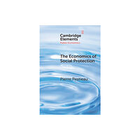 Cambridge University Press The Economics of Social Protection (inbunden, eng)