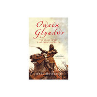 Amberley Publishing Owain Glyndwr (häftad, eng)