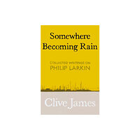 Pan Macmillan Somewhere Becoming Rain (inbunden, eng)