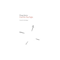 Dalkey Archive Press I Saw Her That Night (häftad, eng)