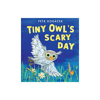 Walker Books Ltd Tiny Owl's Scary Day (inbunden, eng)