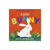 Walker Books Ltd Little Bunny (bok, board book, eng)