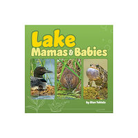 Adventure Publications, Incorporated Lake Mamas and Babies (bok, board book, eng)