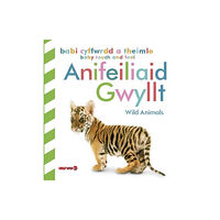 Dref Wen Babi Cyffwrdd a Theimlo: Anifeiliaid Gwyllt / Baby Touch and Feel: Wild Animals (inbunden, eng)