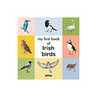 O'Brien Press Ltd My First Book of Irish Birds (bok, board book, eng)