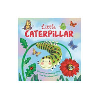 Bonnier Books Ltd Little Caterpillar (inbunden, eng)