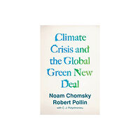 Verso Books Climate Crisis and the Global Green New Deal (häftad, eng)