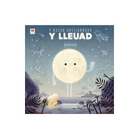 Rily Publications Ltd Noson Ddiflannodd y Lleuad, Y / Night the Moon Went Missing, The (häftad, eng)