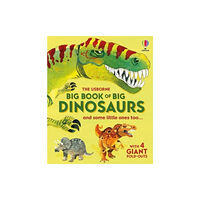 Usborne Publishing Ltd Big Book of Big Dinosaurs (inbunden, eng)