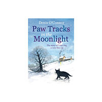 Little, Brown Book Group Paw Tracks in the Moonlight (häftad, eng)